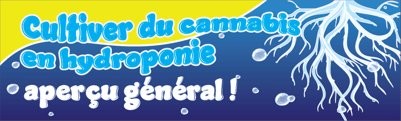 Pourquoi l’hydroponie est idéale pour cultiver du cannabis