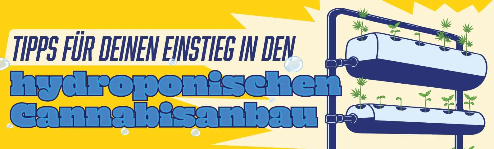 Tipps für den Start deines Cannabis-Hydroponik-Systems