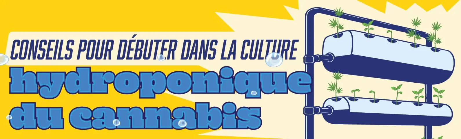 Conseils pour démarrer ton système hydroponique de cannabis