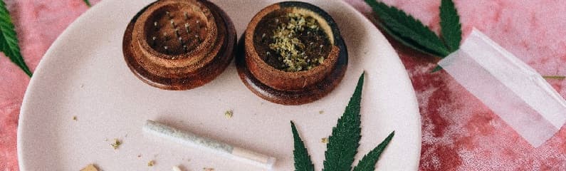 Est-ce que plus de THC signifie toujours un high plus fort ? Est-ce que plus de THC signifie toujours un high plus fort ?