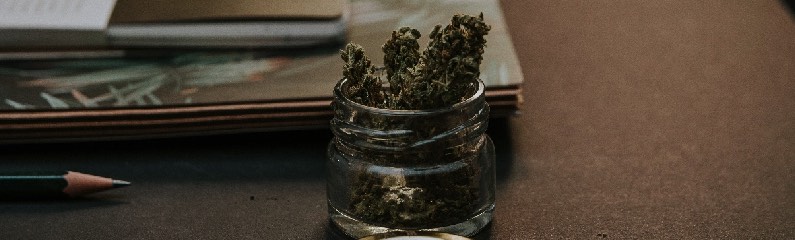 Pourquoi le THC des THC Shop est-il si bon ? Pourquoi le THC des THC Shop est-il si bon ?