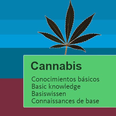 Basiswissen Basiswissen