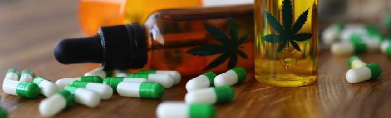 CBD interaction médicamenteuse : cannabis et les traitements médicaux CBD interaction médicamenteuse : cannabis et les traitements médicaux