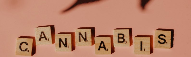 Wann wird Cannabis endlich legal? Wann wird Cannabis endlich legal?