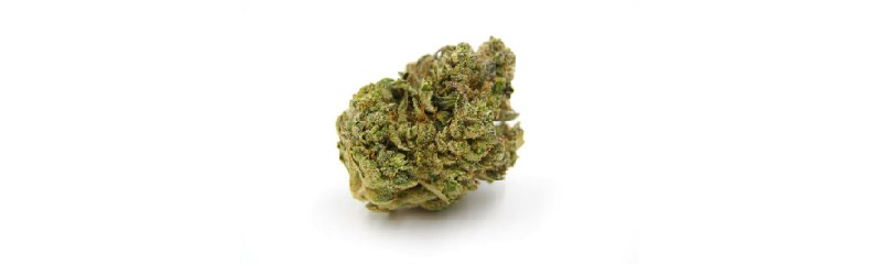 Quelques curiosités sur le "Gorilla Glue 4" Quelques curiosités sur le "Gorilla Glue 4"