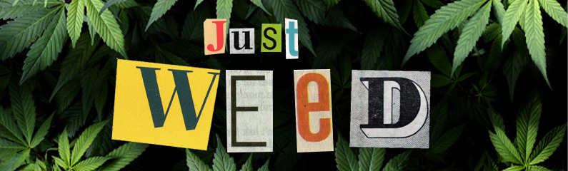 Wann wird Cannabis endlich legal?