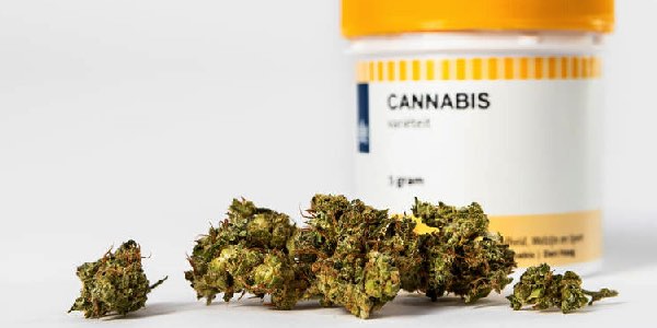 Medizinische Themen zu Cannabis