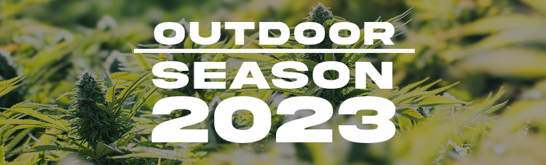Frühlingszeit ist Outdoor-Zeit Frühlingszeit ist Outdoor-Zeit