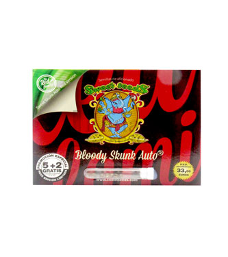 Bloody Skunk Auto > Sweet Seeds | Semillas autoflorecientes  |  Híbrido
