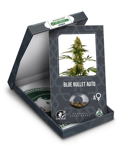 Blue Bullet Auto > Sensi Seeds | Graines Autofloraison  |  Hybride