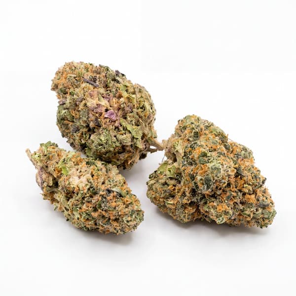 Blue Dream Seed > DNA Genetics | Feminized Cannabis   |  Sativa