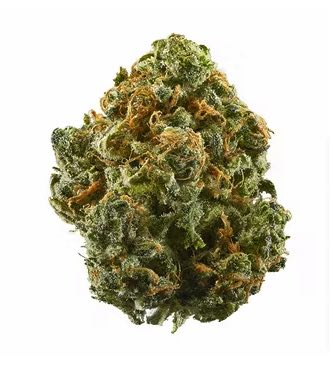 Blue Dream Fast > Semillas a Granel | Semillas feminizadas  |  Sativa