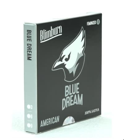 Blue Dream > Blim Burn Seeds | Semillas feminizadas  |  Sativa