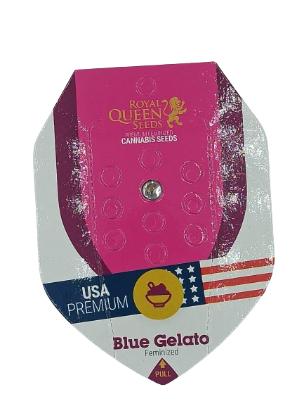 Blue Gelato > Royal Queen Seeds | Graines Féminisées  |  Indica