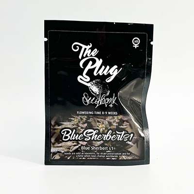 Blue Sherbert > The Plug Seedbank | Feminized Cannabis   |  Indica