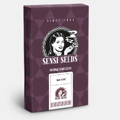 Blue Skunk > Sensi Seeds | Semillas feminizadas  |  Índica