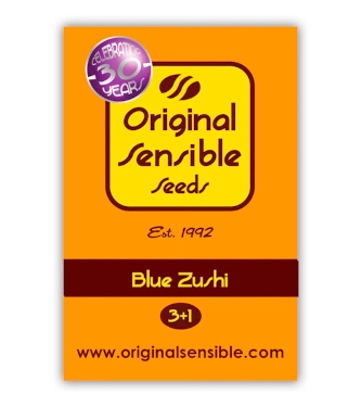 Blue Zushi > Original Sensible Seeds