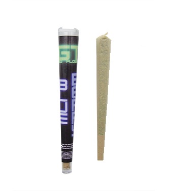 Blueberry Porro de CBD > hierba CBD