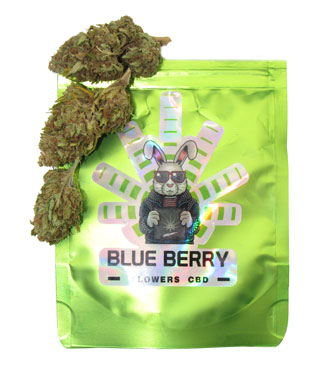 Blueberry CBD flowers > CBD weed