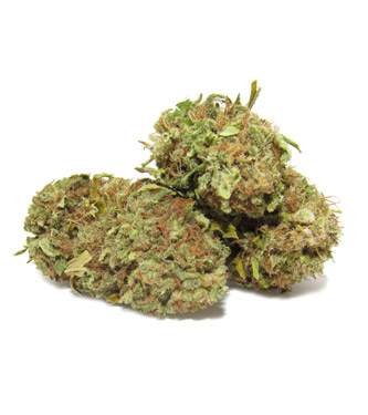 Blueberry cogollos CBD > hierba CBD | Productos de CBD