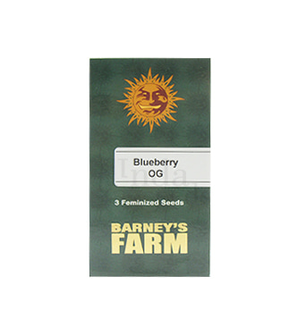 Blueberry OG > Barney\'s Farm | Semillas feminizadas  |  Índica