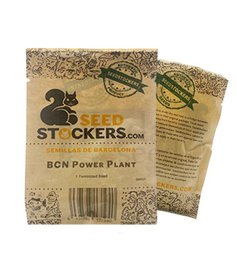 BCN Power Plant > Seed Stockers | Feminisierte Hanfsamen  |  Sativa