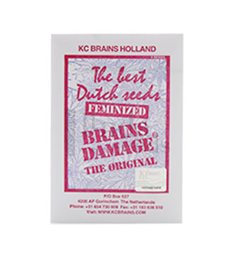 Brains Damage > KC Brains | Feminized Marijuana   |  Sativa