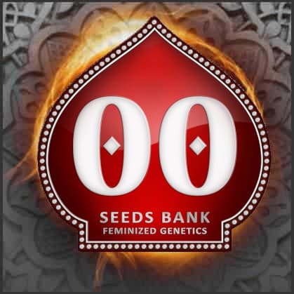 00 Seeds Bank