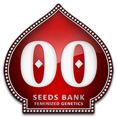 00 Seeds Bank 00 Seeds Bank