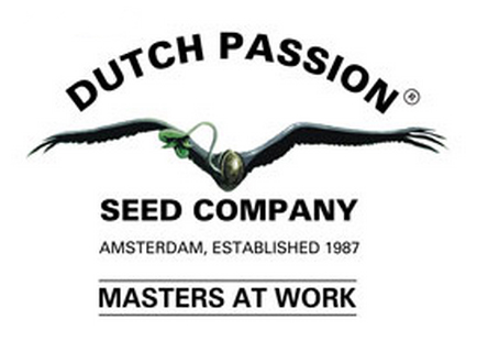 Dutch Passion Dutch Passion