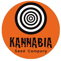 Kannabia Seeds Kannabia Seeds