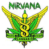 Nirvana Nirvana