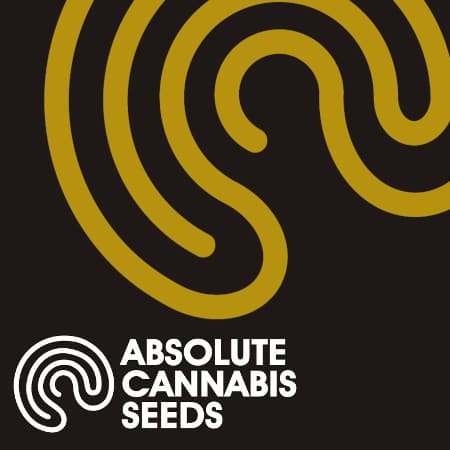 Absolute Cannabis Seeds Absolute Cannabis Seeds