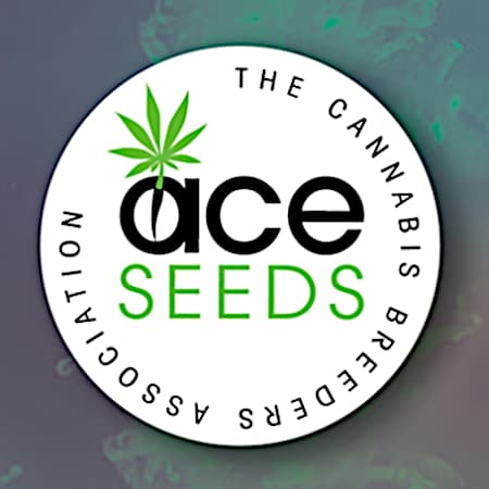 ACE Seeds ACE Seeds