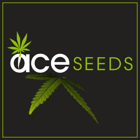 ACE Seeds