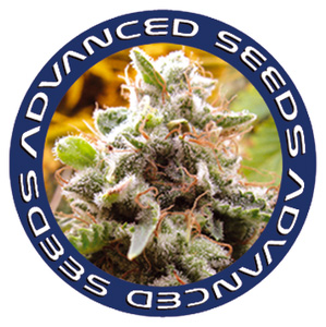 Advanced Seeds Advanced Seeds