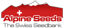 Alpine Seeds Alpine Seeds