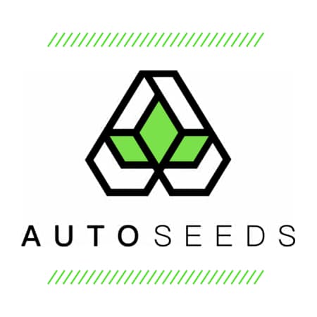 Auto Seeds