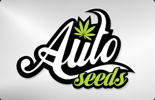 Auto Seeds Auto Seeds