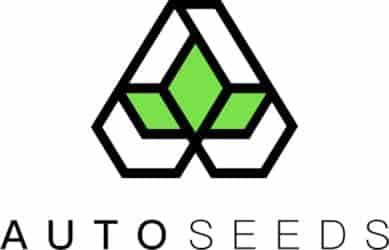 Auto Seeds Auto Seeds