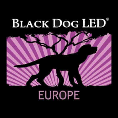 Black Dog LED Black Dog LED