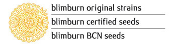 Blim Burn Seeds Blim Burn Seeds