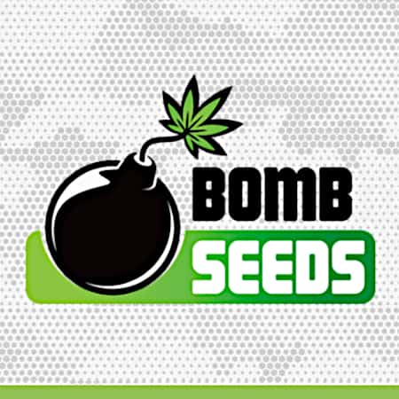 Marke: Bomb Seeds Marke: Bomb Seeds