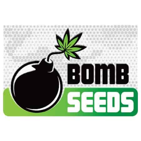 Bomb Seeds Bomb Seeds