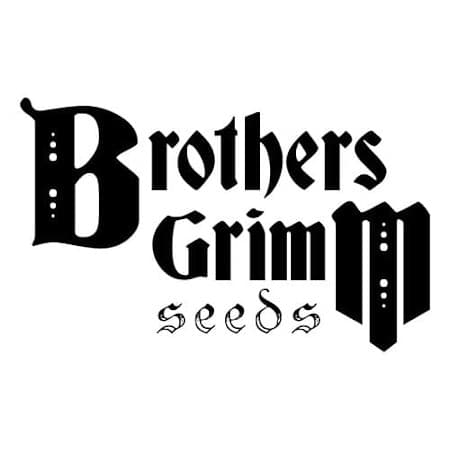 Brothers Grimm Brothers Grimm