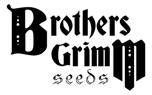 Brothers Grimm Brothers Grimm