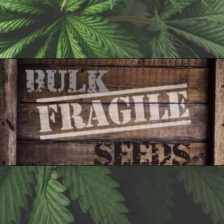 Bulk Seeds Bulk Seeds