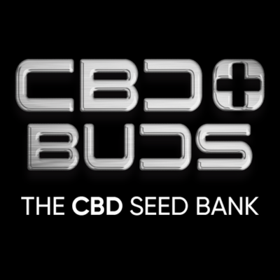 CBD+ Buds