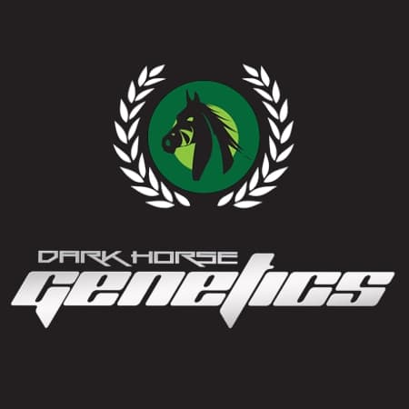 Dark Horse Genetics
