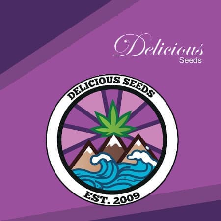 Delicious Seeds Delicious Seeds